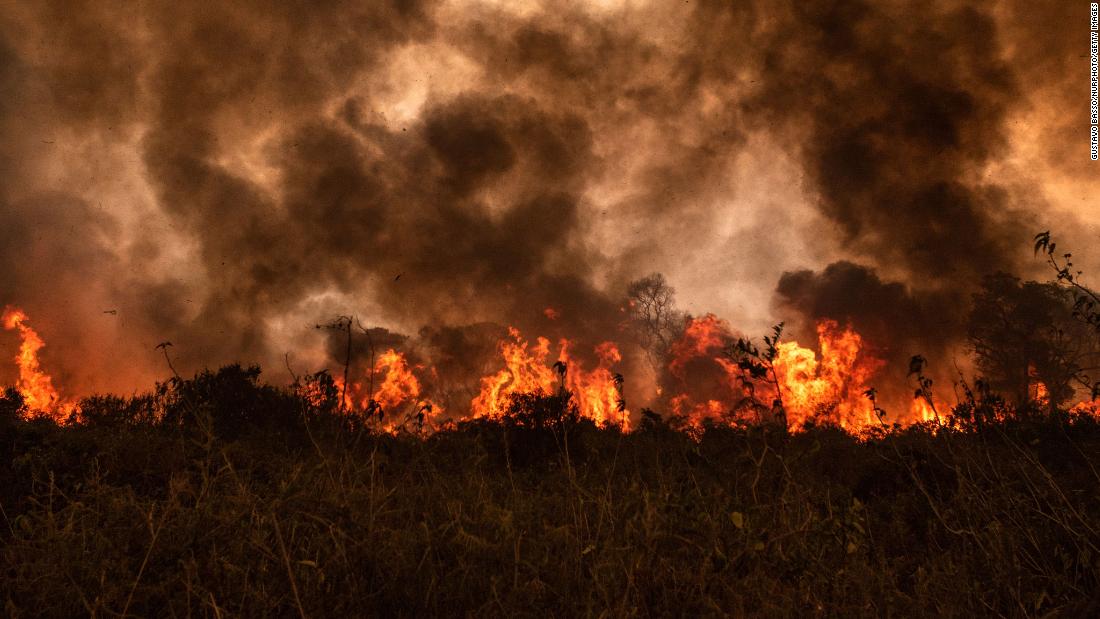 the-worlds-largest-wetlands-are-on-fire-thats-a-disaster-for-all-of-us