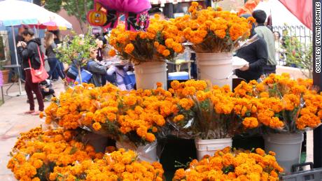 Marigolds are a staple at Día de los Muertos celebrations and are used to decorate ofrendas. 