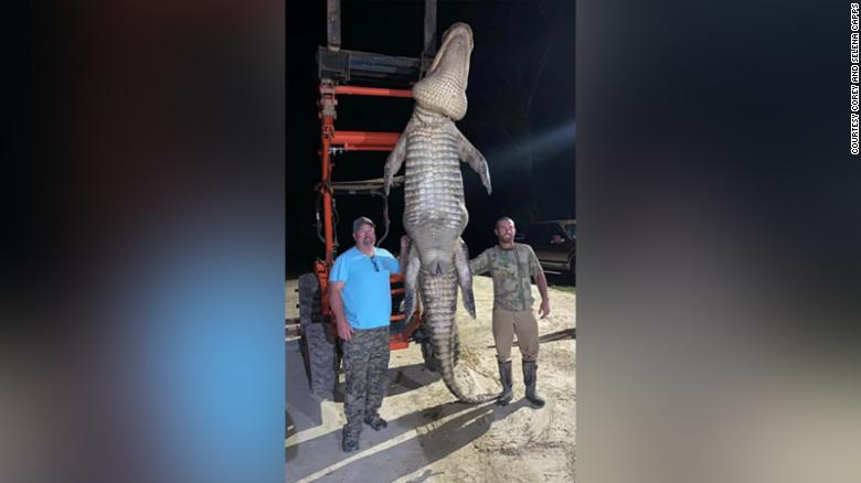 A Florida fisherman caught a gator he’d been watching for three years. It weighed more than 1,000 pounds