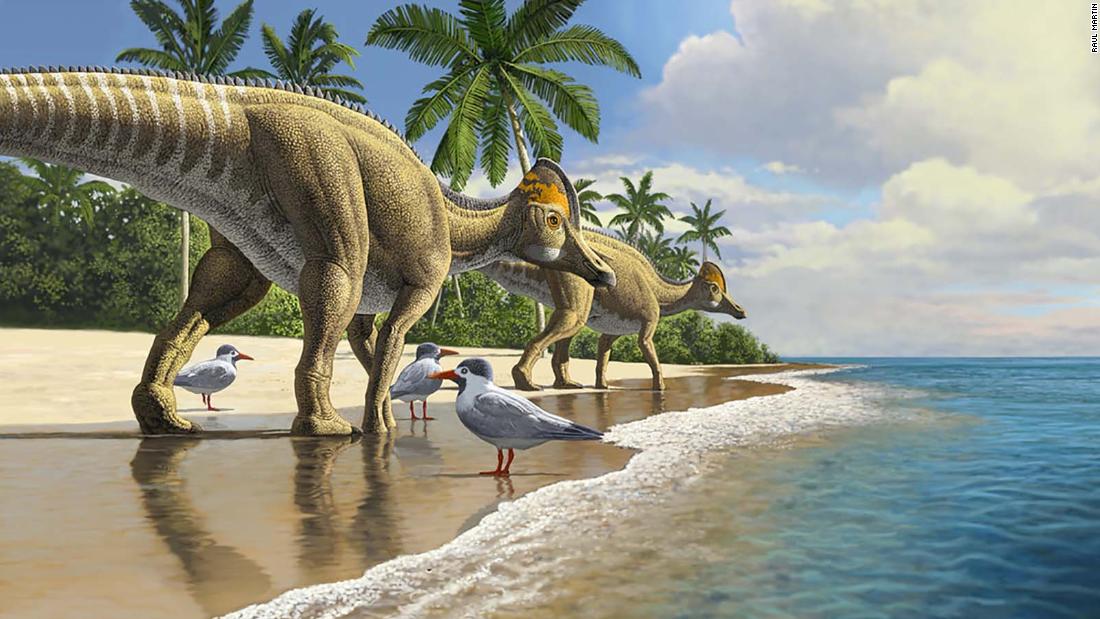 يشير اكتشاف أحفوري جديد إلى أن الديناصورات سافرت عبر المحيطات