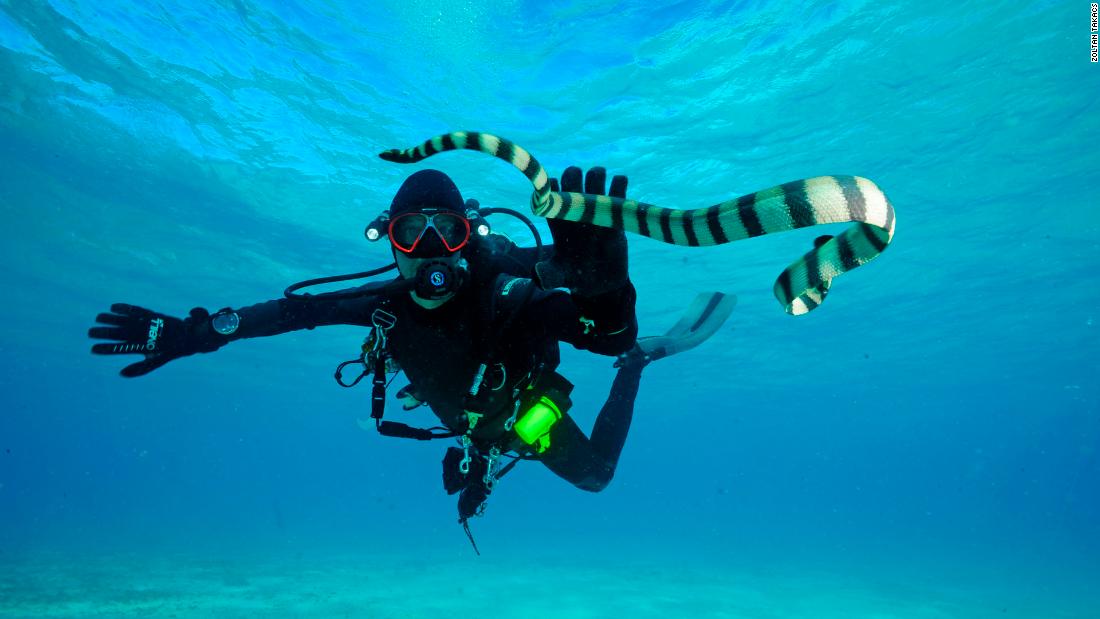 Biomedical scientist Zoltan Takacs has traveled to more than 190 countries in search of venomous creatures that can potentially help create new medical treatments -- like this sea snake in Fiji.&lt;br /&gt;&lt;strong&gt;Scroll through the gallery for more on the ways venomous animals are aiding in drug development.&lt;/strong&gt;