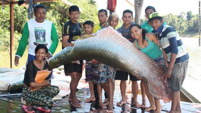 Francisco das Chagas Melo de Araújo, also known as Seu Preto (back left), a community leader from  Amazonas state, alongside a sustainably caught arapaima.