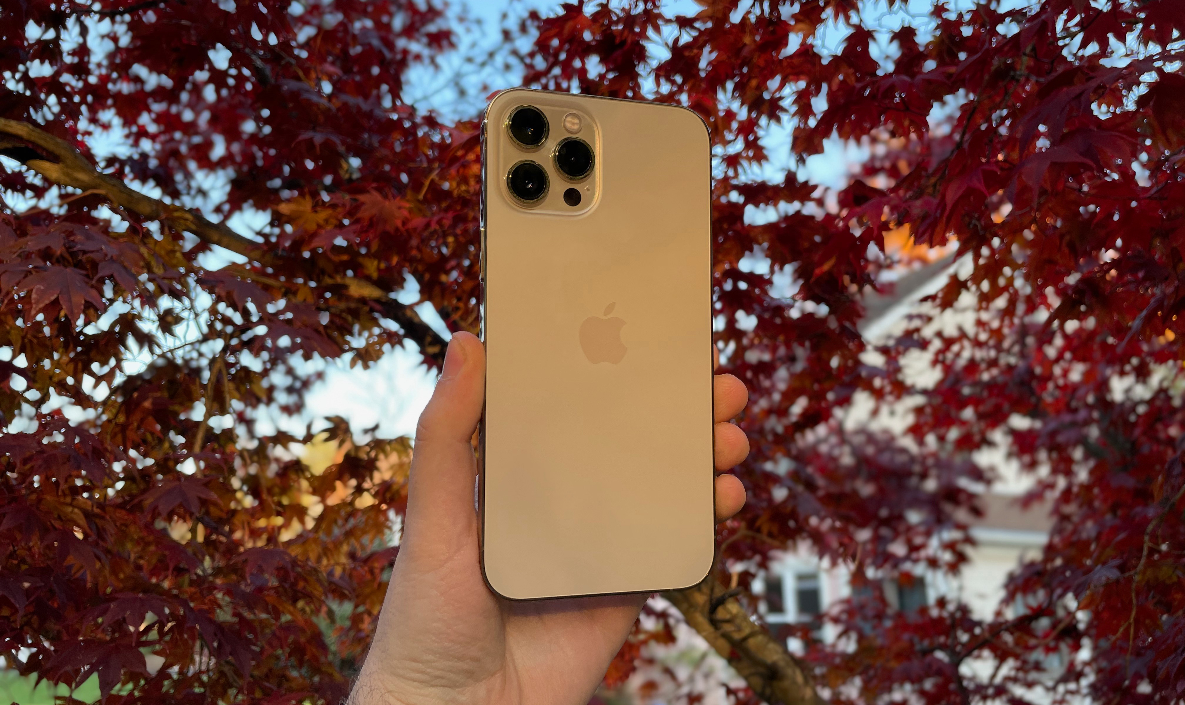 Iphone 12 Pro Max Review Cnn Underscored