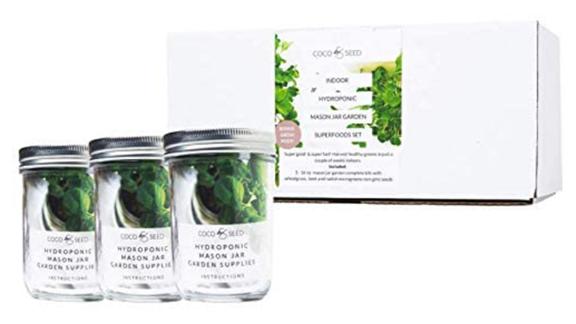 Coco and Seed Hydroponic Mason Jar Garden Superfoods Set 