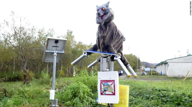 Japanese town deploys ‘Monster Wolf’ robots to deter wild bears