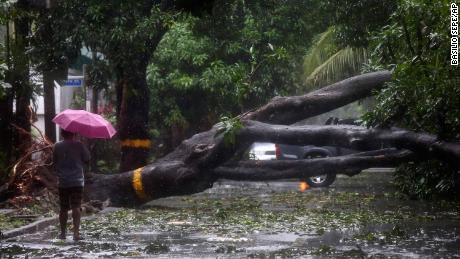 A man walks past a downed tree in Quezon City, the Philippines.