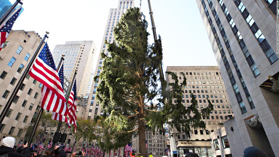 Llega A Nueva York El árbol Gigante De Navidad Que Adorna El 