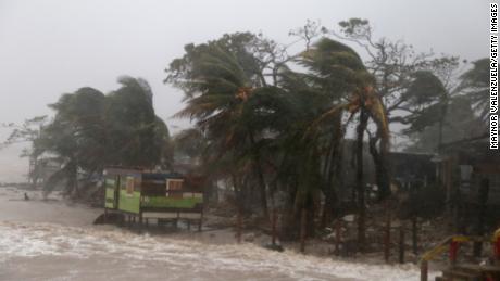 Palm trees blow as Nicaragua braces for Iota&#39;s landfall on November 16 in Puerto Cabezas.