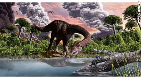 The dinosaur&#39;s long neck would have enabled it to reach tall conifer trees and stay in one spot while it ate, since moving such a huge body expended a lot of energy. 