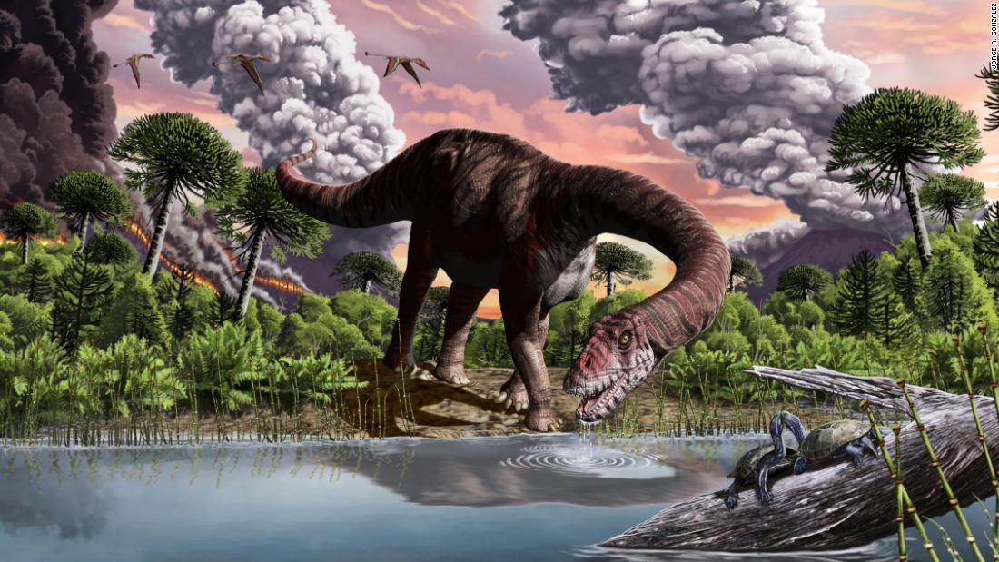 what is the biggest long neck dinosaur