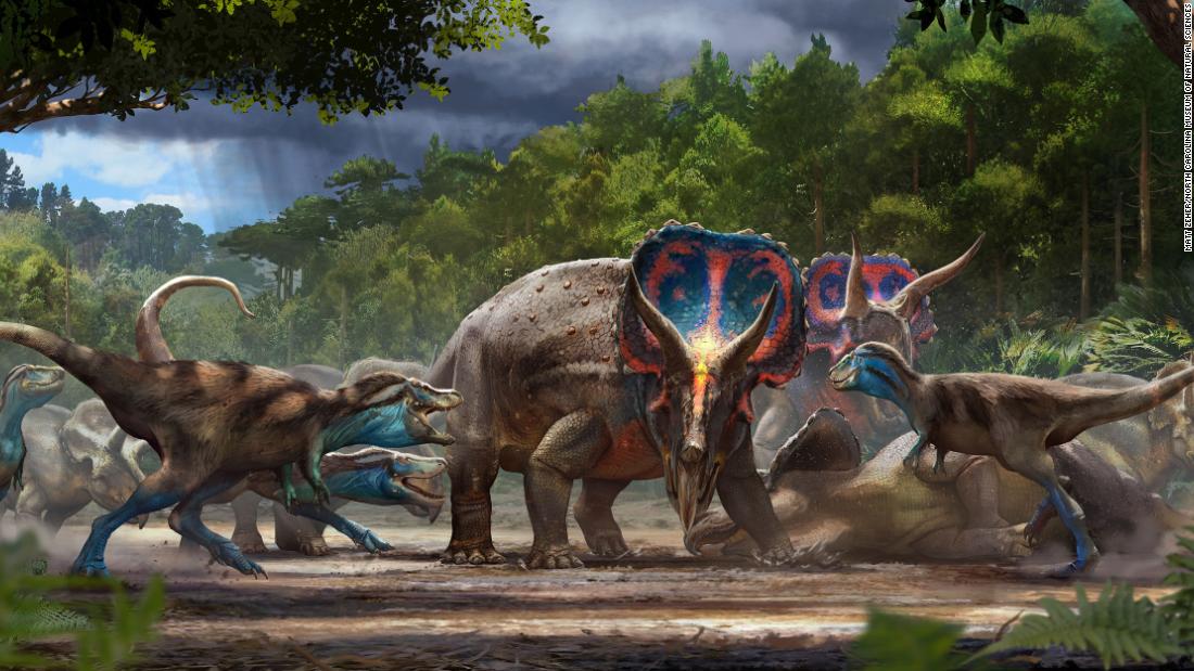 This artist&#39;s illustration shows Triceratops and juvenile tyrannosaurs facing off near the end of the Cretaceous Period 67 million years ago. 