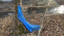 Here&#39;s a picture of the creekbed where Jordan Gorman was found, approximately 3/4 mile, as the crow flies, from his home.
Jordan said he found that blue tarp and built himself the shelter where rescuers found him this afternoon.