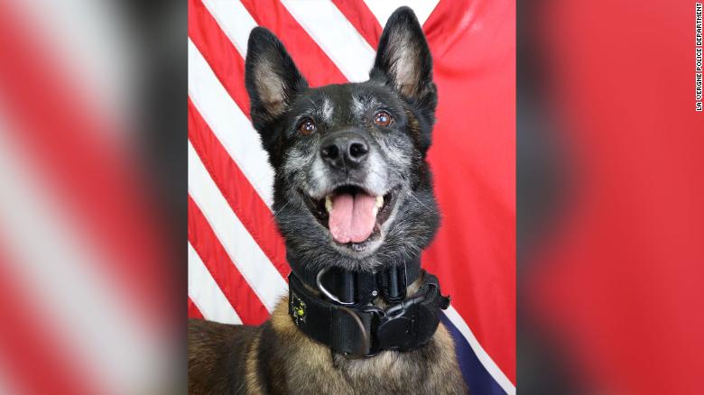 A police department is mourning a K-9 killed in the line of duty
