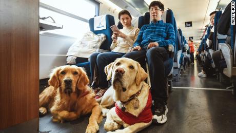 Yang Kang takes the train with his wife and their guide dogs.