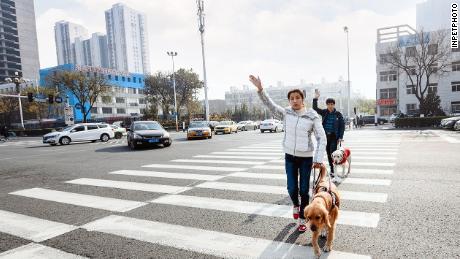 Yang Kang and his wife crossing a road with their guide dogs in Beijing, China.