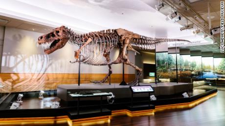 T. rex a avut un impuls crescut în adolescență - dar nu cu toți dinozaurii 