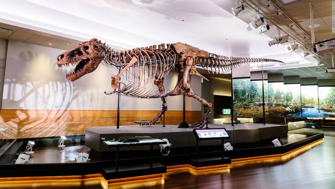 T. rex had a teenage growth spurt â€” but not all dinos did - CNN