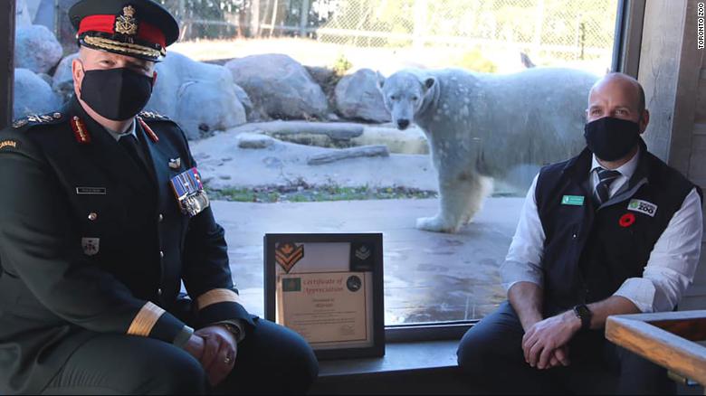 Toronto Zoo polar bear promoted to ‘honorary master corporal’ by the Canadian Army