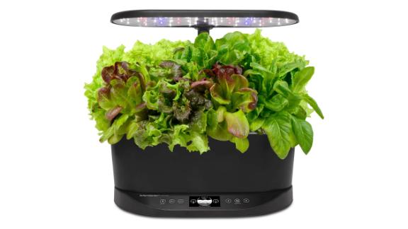 AeroGarden Bounty and Bounty Basic