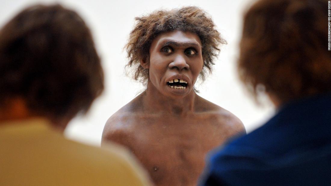 Did you survive Covid? Maybe you can thank your Neanderthal ancestors - CNN 