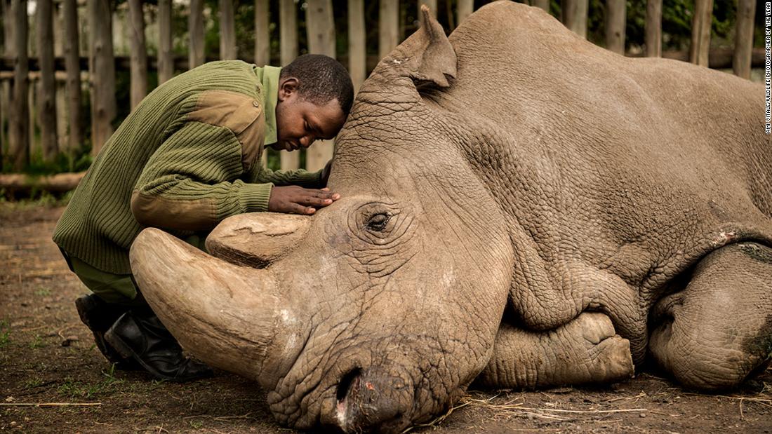 wildlife-photographer-of-the-year-people-s-choice-award-2020-shortlist