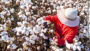 U.S. Bans All Cotton and Tomatoes From Xinjiang Region of China