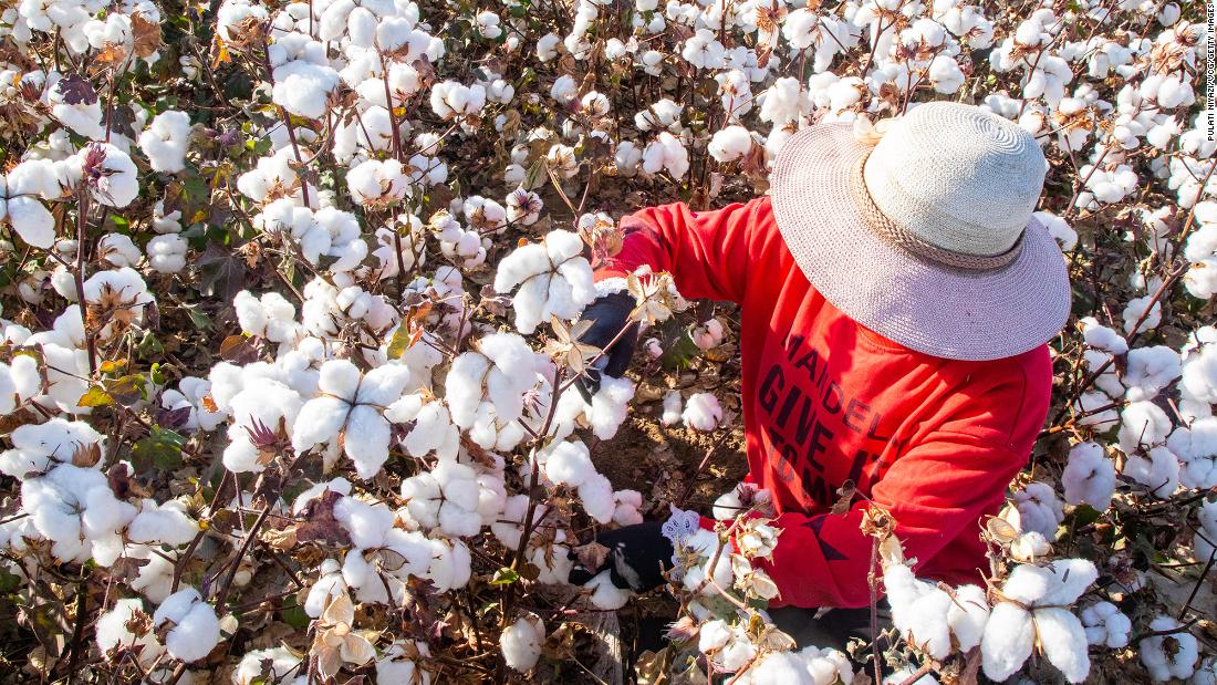 US bans cotton and tomato products from China's Xinjiang region over