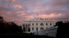 A rainbow appears over the White House as birds fly nearby following a storm in Washington, U.S., November 30, 2020. REUTERS/Tom Brenner     TPX IMAGES OF THE DAY