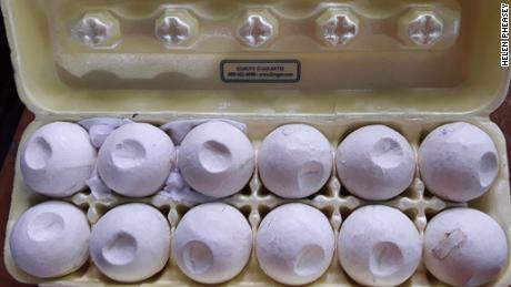 Scientists used a 3D-printer to develop the decoy eggs. 