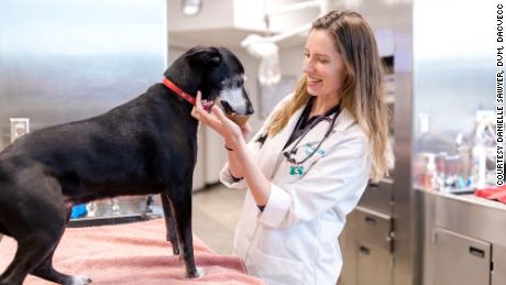 A resurgence in pet adoption during the pandemic has meant far more business for veterinarians like Danielle Sawyer.