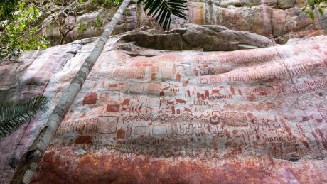 12,000-year-old paintings show humans alongside giant animals - CNN Video