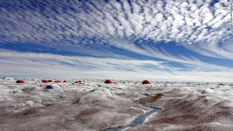 Microscopic Life Is Melting Greenland's Ice Sheet - CNN