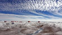 Microscopic Life Is Melting Greenland's Ice Sheet - CNN