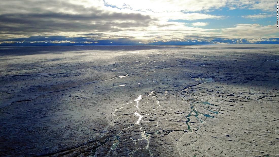 A 'frozen rainforest' of microscopic life is melting Greenland's ice sheet