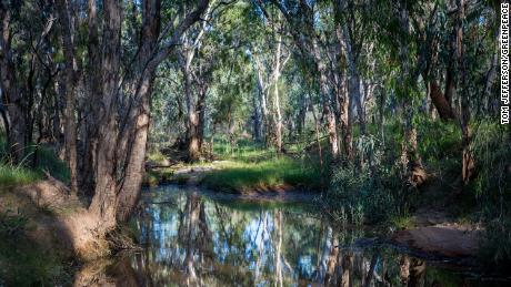 The beginning of the Carmichael River, which will be cut by the void of the Carmichael Coal mine. 