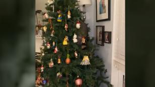 Woman Finds A Raccoon In Her Christmas Tree - Cnn Video