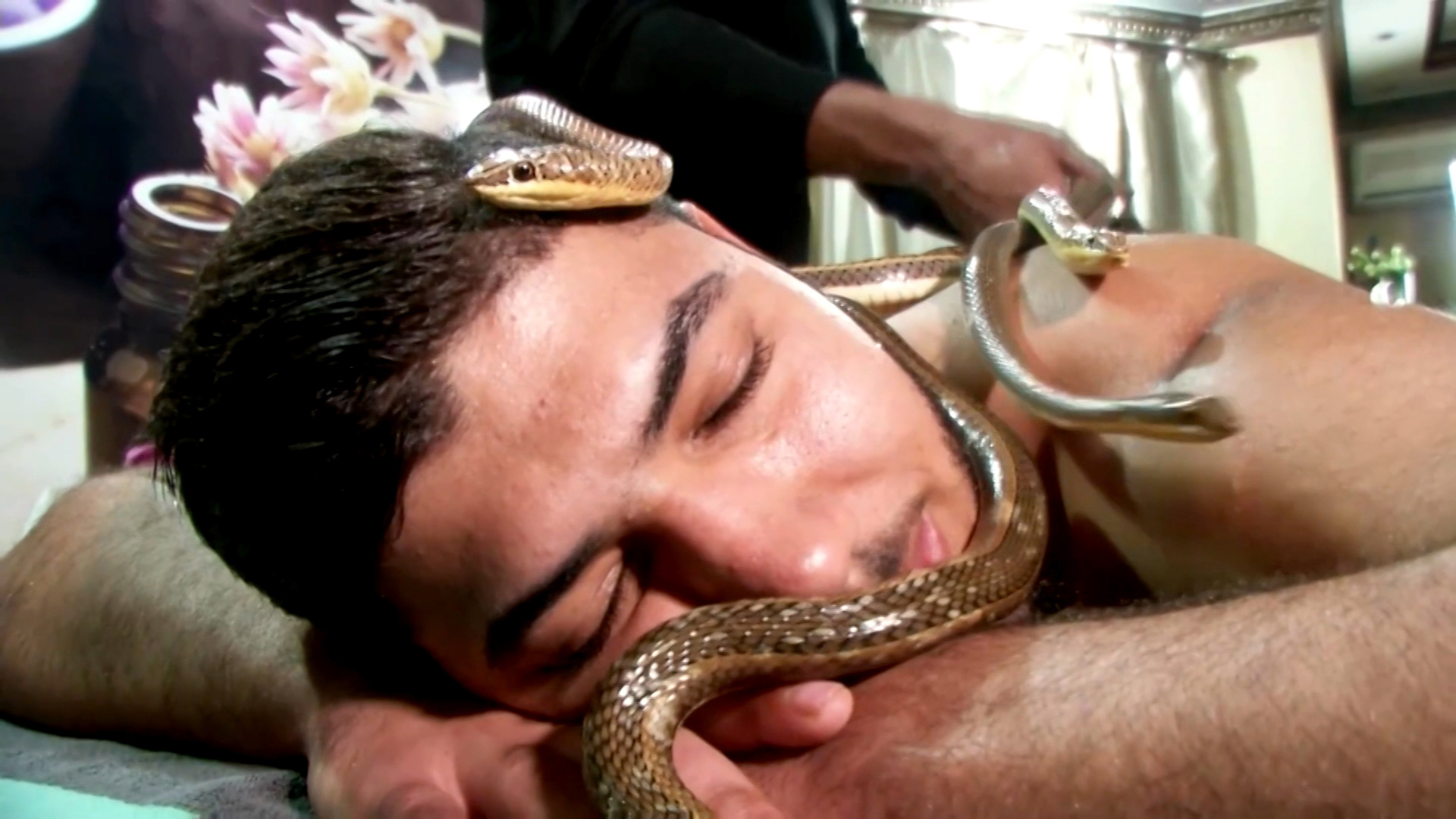 Massage technique using snakes might not be for everybody - CNN Video