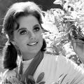 Dawn Wells RESTRICTED