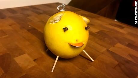 Lemon pigs may or may not be good luck charms. But looking ahead to 2021, a little luck wouldn&#39;t hurt. 