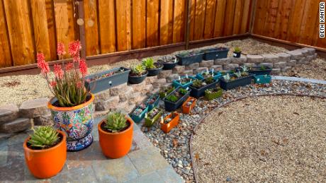 Kanter&#39;s container succulent garden grew out of an interest she had developed while on her fake commutes.
