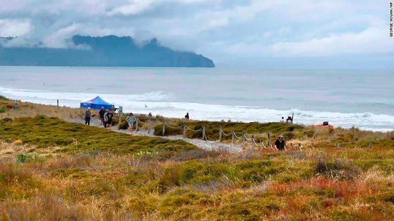 People walk near a beach following a suspected shark attack at Bowentown near Waihī in New Zealand, January 8, 2021. 