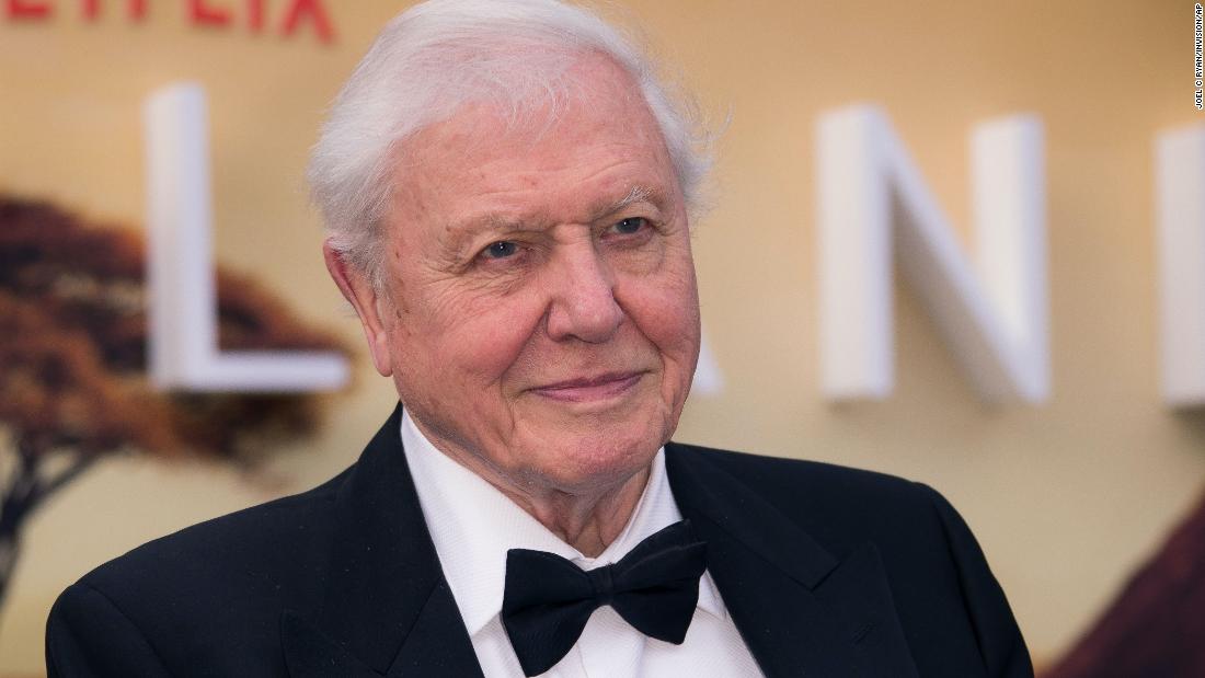 David Attenborough Receives A Second Knighthood Cnn