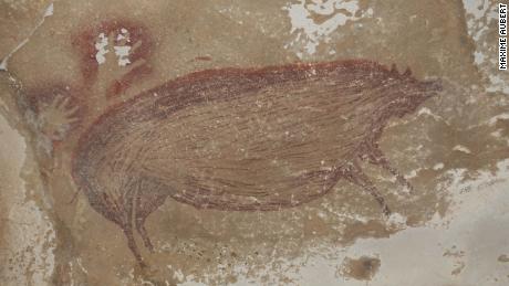 A warty pig painted on a cave wall 45,500 years ago is the world&#39;s oldest depiction of an animal 