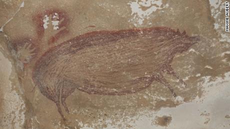 A pig-like pig painted on a cave wall 45,500 years ago is the world's oldest representation of an animal 