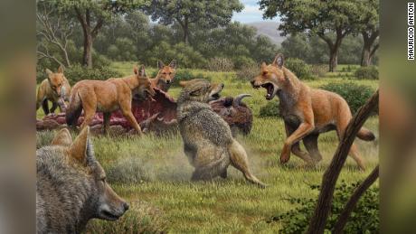 Analysis of ancient DNA reveals details about the dire wolf, inspiration for &#39;Game of Thrones&#39; creature