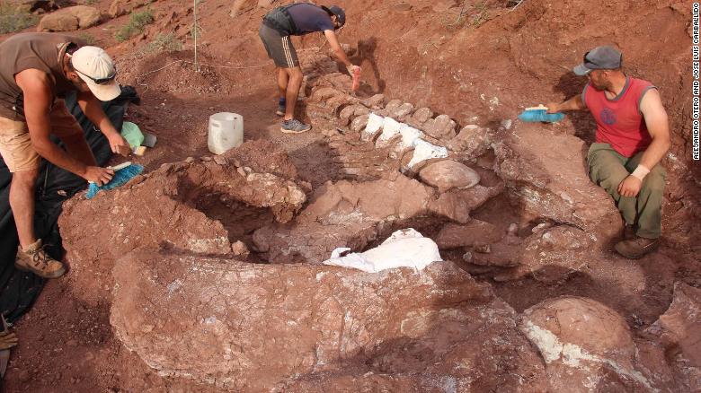 Paleontologists discovered the fossilized remains of a 98 million-year-old titanosaur in Neuquén Province in Argentina&#39;s northwest Patagonia.