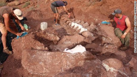 Paleontologists discovered the fossilized remains of a 98 million-year-old titanosaur in Neuquén Province in Argentina&#39;s northwest Patagonia.