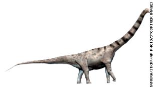 210119140735-argentinosaurus-medium-plus