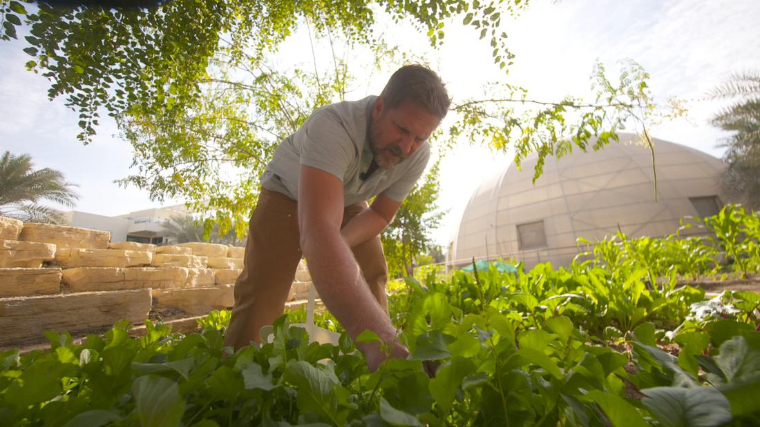 For one year, Phil Dunn is attempting to base his diet on food grown only where he lives, in Dubai&#39;s Sustainable City.