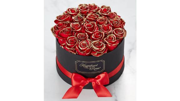 Magnificent roses preserves gold kissed red roses